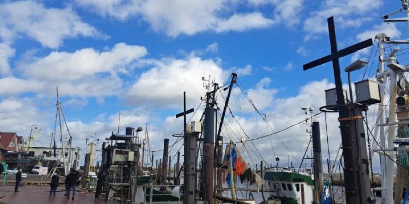 Pesca | Foto de Fedepesca Barcos amarrados en puerto