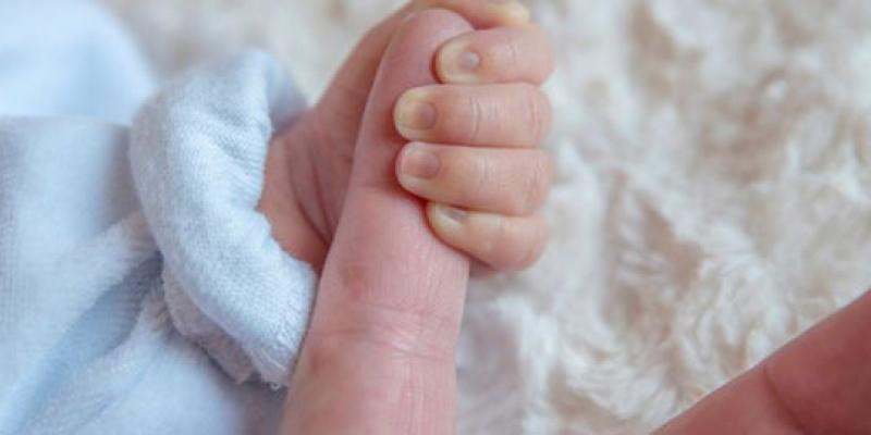 baja de maternidad / Enfamil La baja de maternidad es uno de los aspectos más discutidos dentro de la nueva Ley de Familias