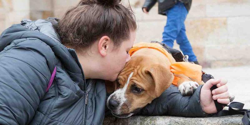 La Fundación Kiwoko pone en marcha el primer banco de alimento solidario online para animales.