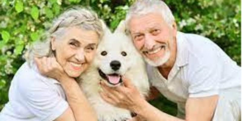 Fuente de la imagen: Residencia Olimpia Los perros y gatos benefician a los adultos mayores