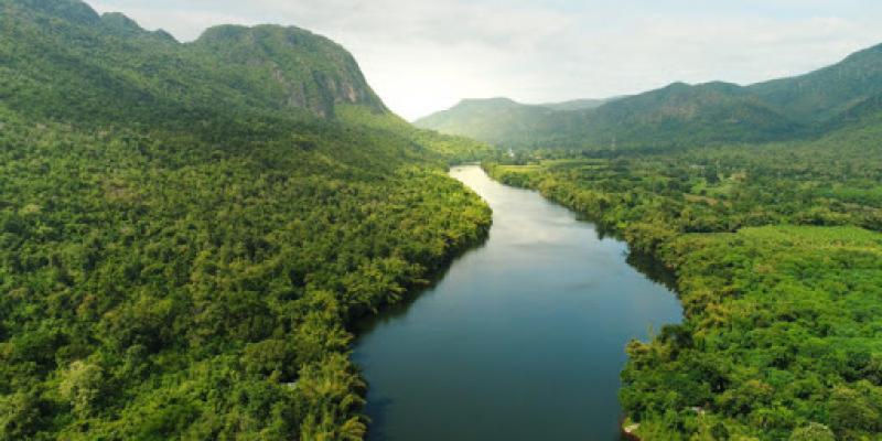 Proteger la naturaleza es más rentable que explotarla, según un estudio Proteger la naturaleza aporta más beneficios económicos que explotarla, según un estudio