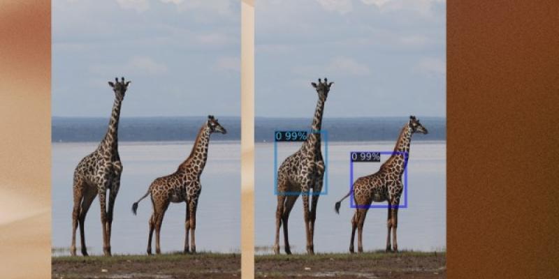 Así es GIRAFFE, ia y conservación animal GIRAFFE, un proyecto que usa la IA para salvar jirafas