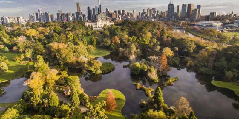 La biodiversidad urbana 