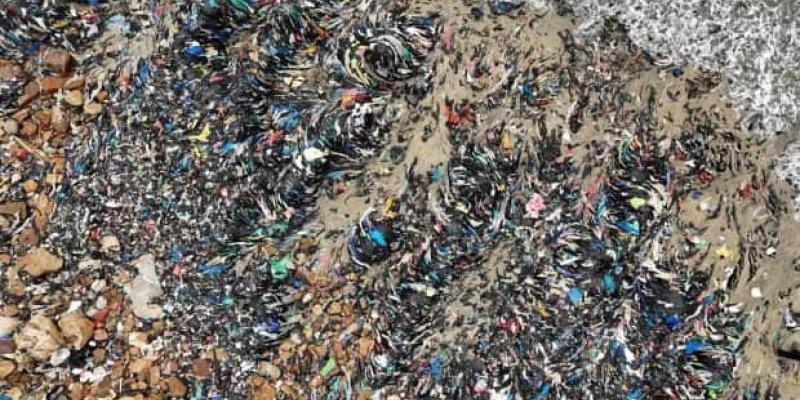 Contaminación ambiental en el Black Friday