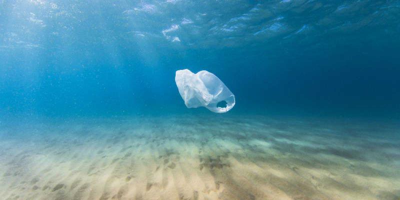 Imagen de una bolsa de plástico en mitad del mar/RTVE El Día Internacional Libre de Bolsas de Plástico