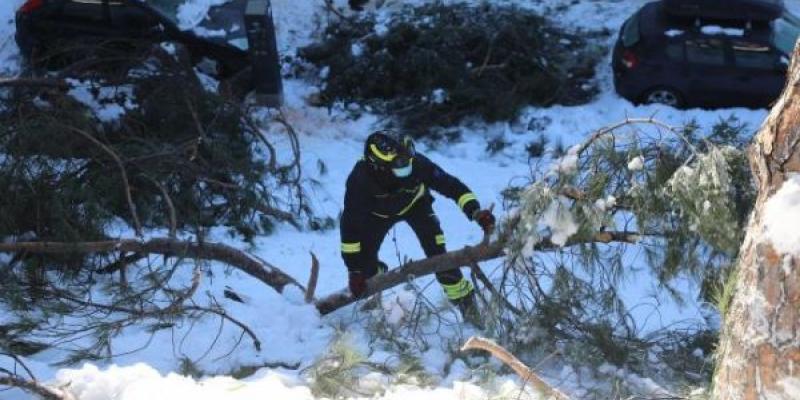 Zona catastrófica en Madrid/ 20 Minutos Los daños causados por Filomena