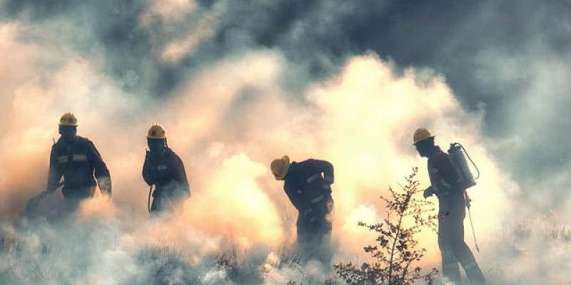 Bomberos forestales trabajando