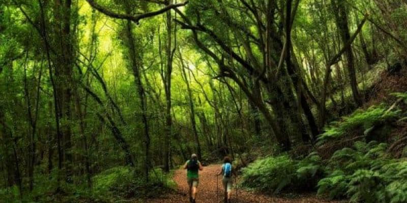 Imagen de dos personas haciendo senderismo en La Palma/Hosteltur Bono turístico para La Palma y Galicia