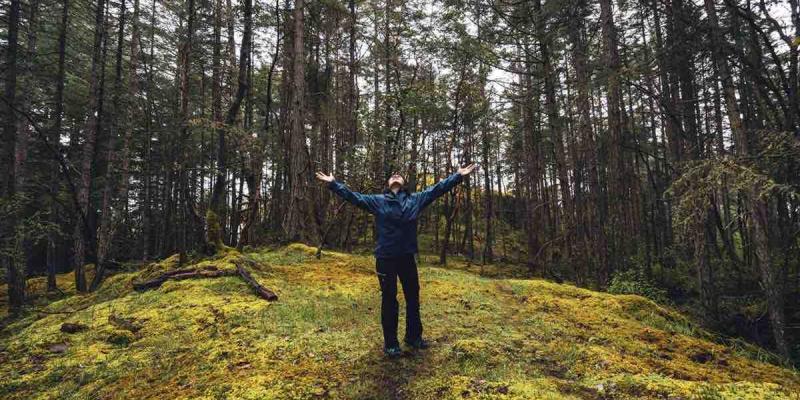 Unos 1.600 millones de personas viven a menos de cinco kilómetros de un bosque Unos 1.600 millones de personas viven cerca de un bosque