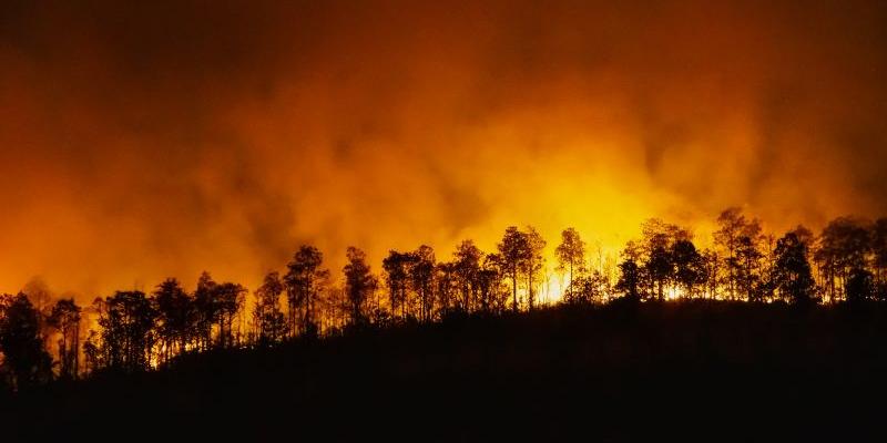 Los montes y bosques arden en España