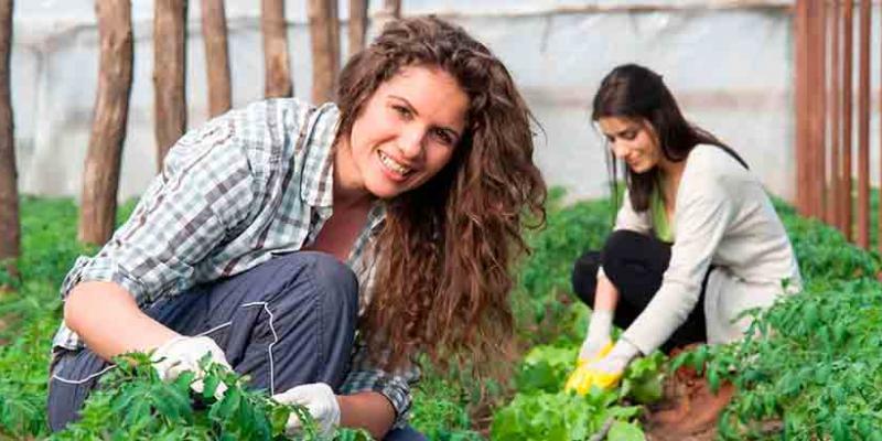 brecha de género / Equipos y Talento La brecha de género se acentúa en el campo