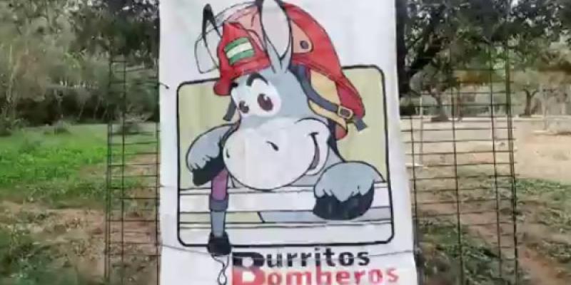 Así es la realidad de los burritos bomberos