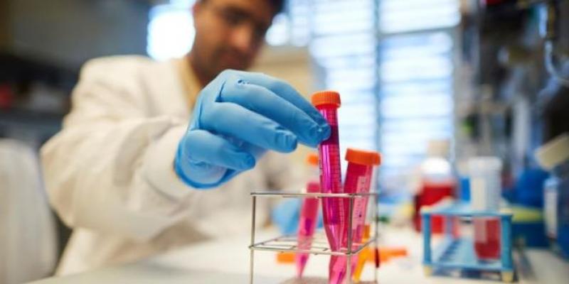 Cáncer /Eldiario.es Investigador español trabaja en una terapia para cáncer