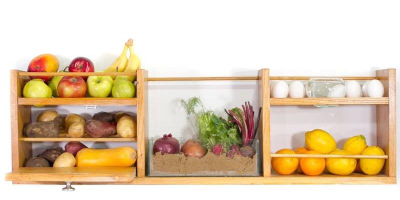 caja verde La caja verde