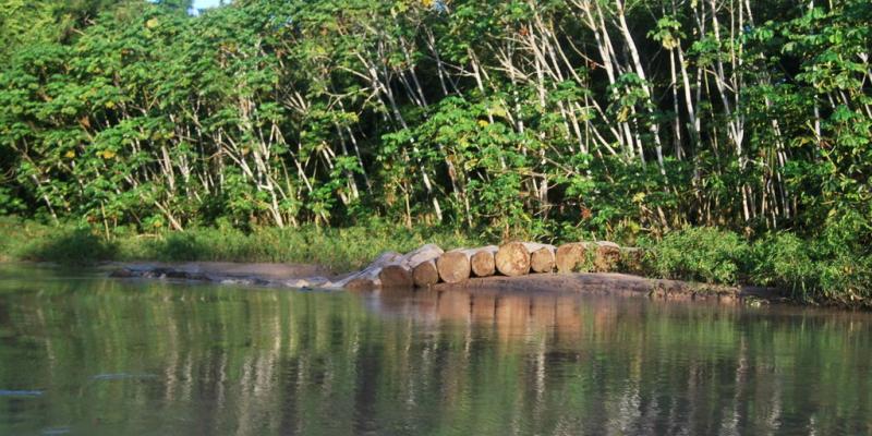 Cambio climático en zonas tropicales 