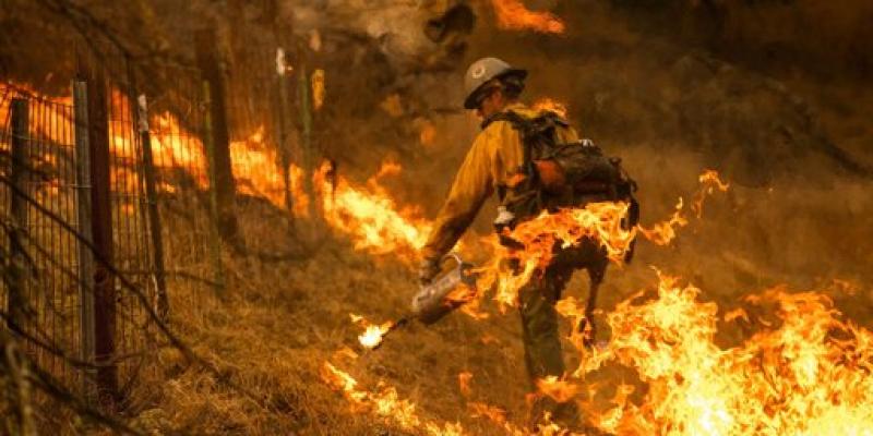 Imagen del bosque de California incendiado/BBC California se enfrenta a su mayor incendio
