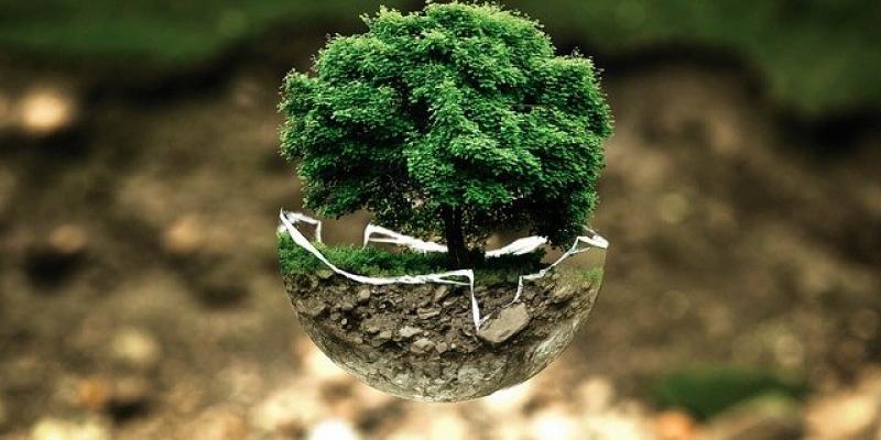 Es importante concienciar sobre el cuidado medio ambiente Protección ambiental/Pixabay