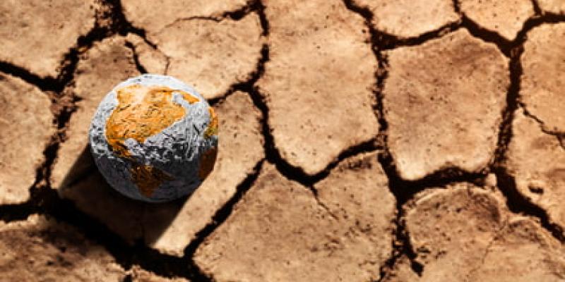 MITECO actúa ante el cambio climático