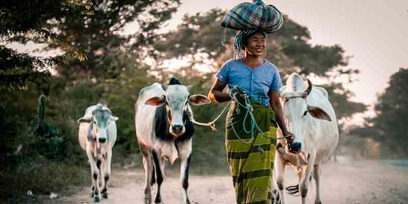 Las mujeres constituyen el 80 % de las personas desplazadas a causa del cambio climático. Imagen: Pixabay Imagen recurso de mujer y cambio climático. Fuente: Pixabay