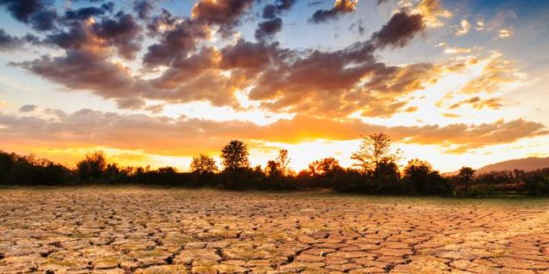 Cambio climático | Foto de 123RF/chabkc Terreno afectado por la sequía