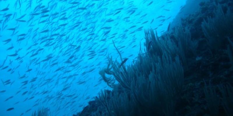 Así afecta el cambio climático a los océanos El cambio climático en los océanos