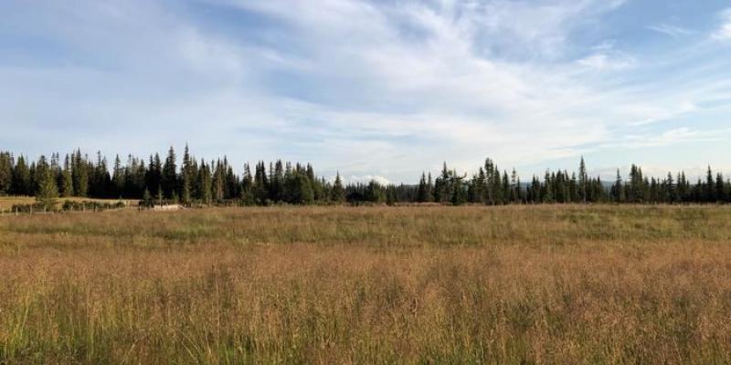 Cambio climático | Foto de David Edwards Tierra con zona para cultivo y bosque en Noruega