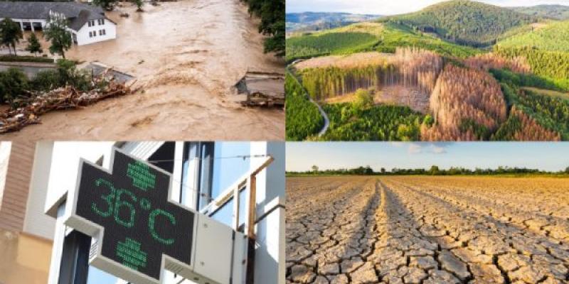 Cambio climático Efectos del cambio climático en Alemania