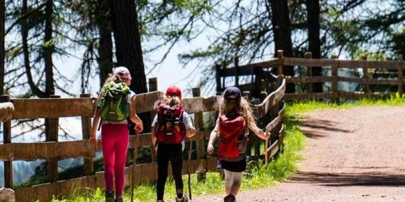 Campamentos de verano Grupo de niños en un campamento de verano / Diario de León