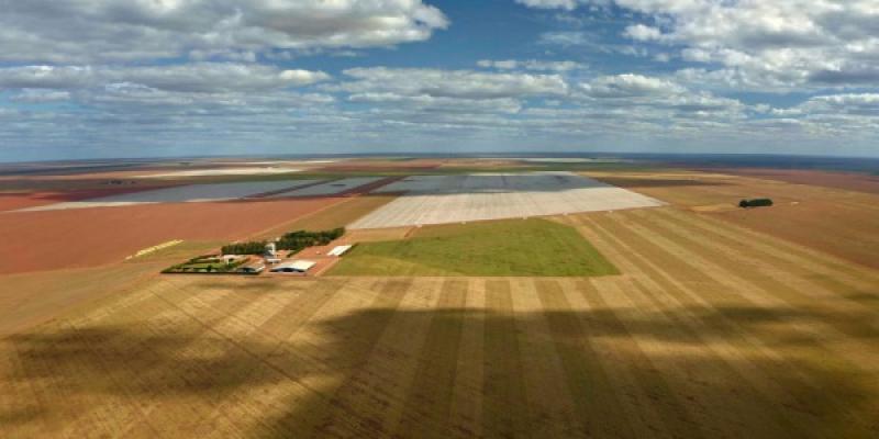 La soja que viene a Europa causa la pérdida de ecosistemas/ Ecologistas en Acción Campo de soja