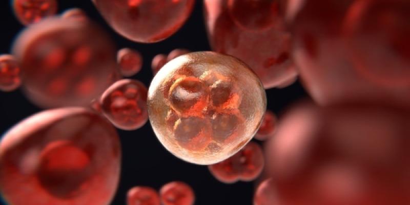 Cáncer - Pixabay Células cancerígenas