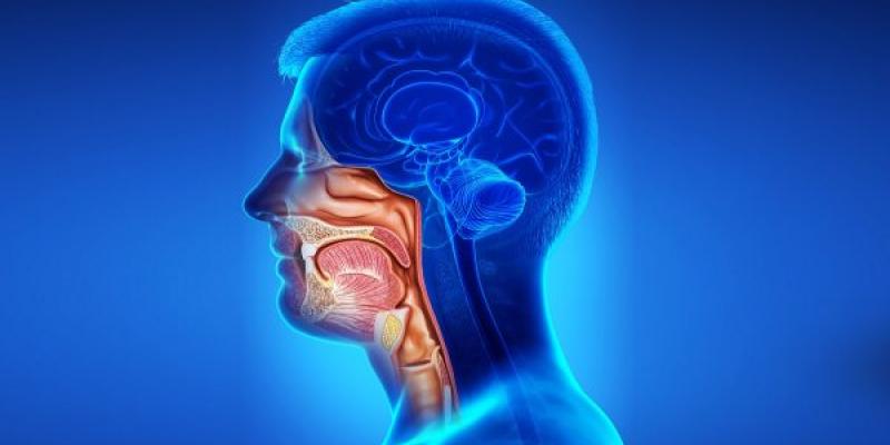 El cáncer es una enfermedad en la que las células del cuerpo se multiplican sin control. / CDC Infografía sobre el cáncer de cabeza y cuello