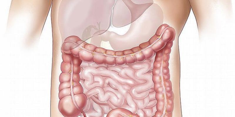 El tratamiento con inmunoterapia tiene grandes éxitos con el cáncer de colon - Pixabay El cáncer de colon cerca de un tratamiento más efectivo