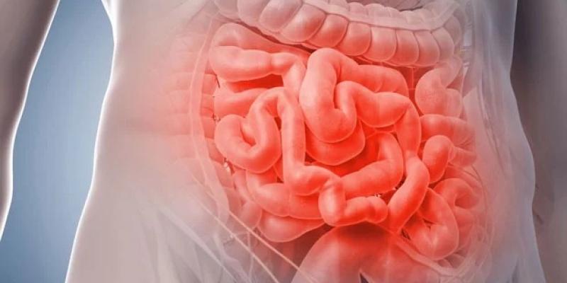 Los tumores colorrectal, de estómago, de hígado y de esófago fueron, junto al de pulmón, los que más muertes causan / Redacción médica Infografía aparato digestivo