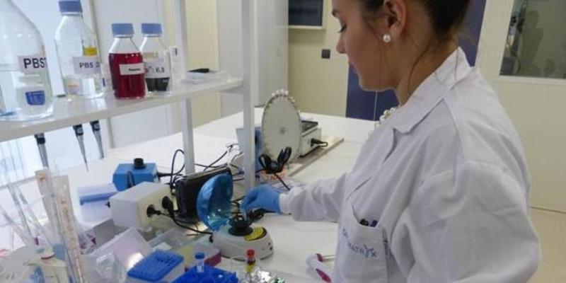 Imagen del ensayo de Oncomatryx/El Correo Autorizan el ensayo en humanos de la terapia contra el cáncer de páncreas diseñado en Euskadi
