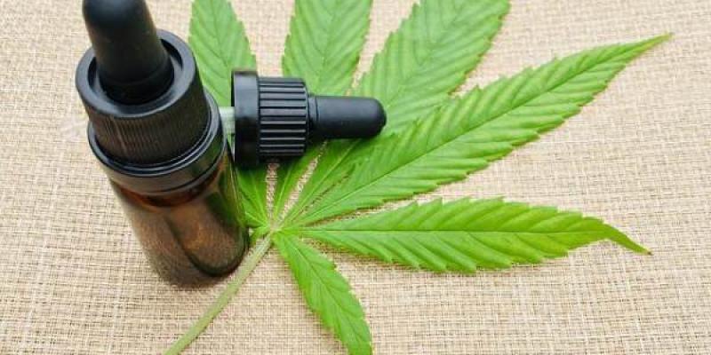 Aprobado el cannabis medicinal