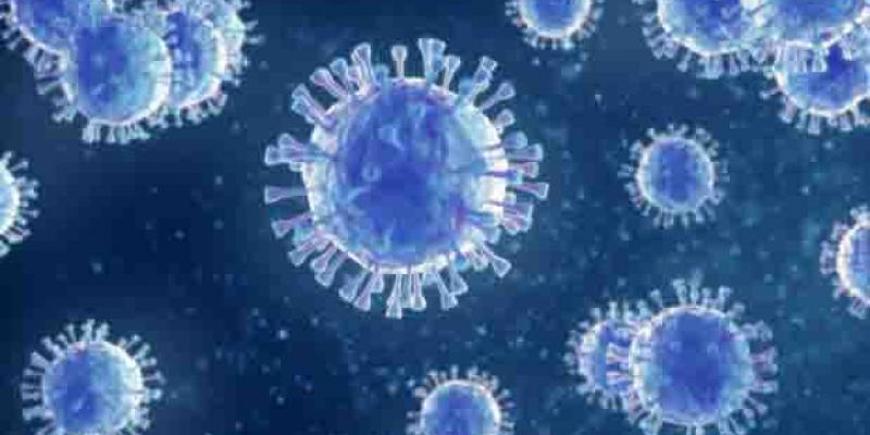 Cantabria / Redacción Médica Sólo seis de cada cien cántabros superó el COVID-19
