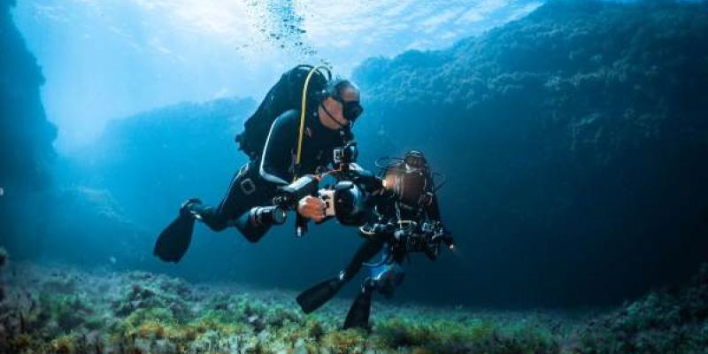 Caracol marino/ Foto de Fundación Oceanogràfic Investigadores durante la exploración en Skerki (entre Sicilia y Túnez)