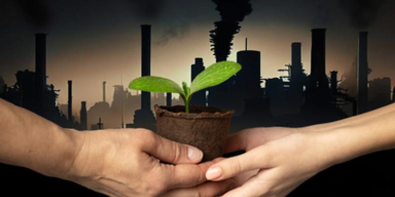 Imagen de dos manos con una planta/envatoelements El carbono en los suelos