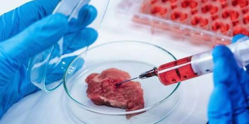 Imagen de carne cultivada en laboratorio/elEconomista La carne cultivada es cada vez más conocida