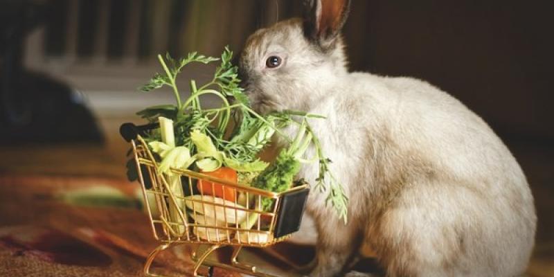 El carro de la compra saludable