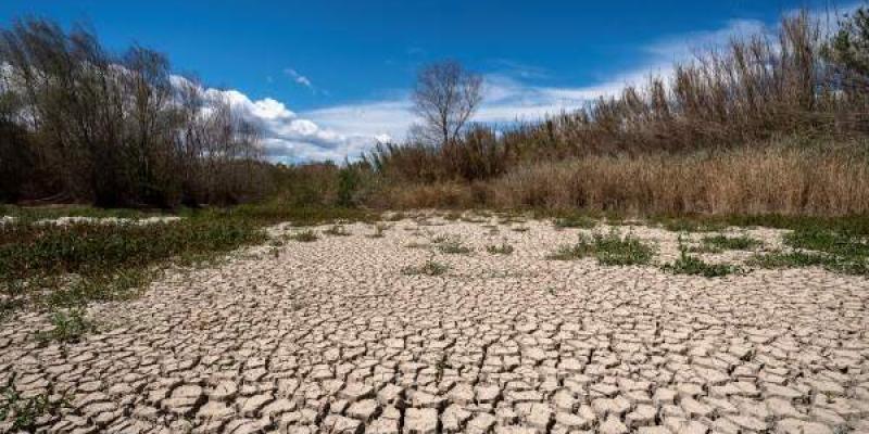 Sequía La sequía en Cataluña