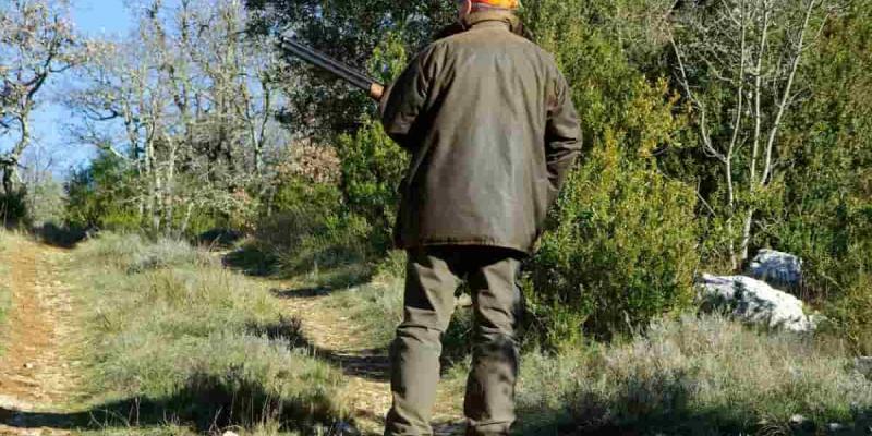 Imagen de un cazador/El Diario Vox y sus políticas de caza del oso