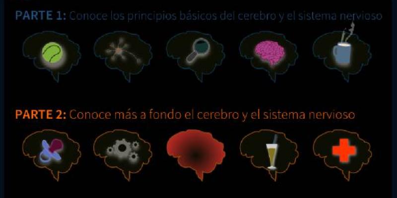 Mapa de la herramienta: Enamórate de tu cerebro. 