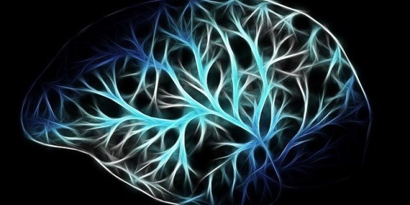 Las temperaturas de nuestro cerebro pueden ser elevadas - Pixabay La actividad del cerebro desprende calor