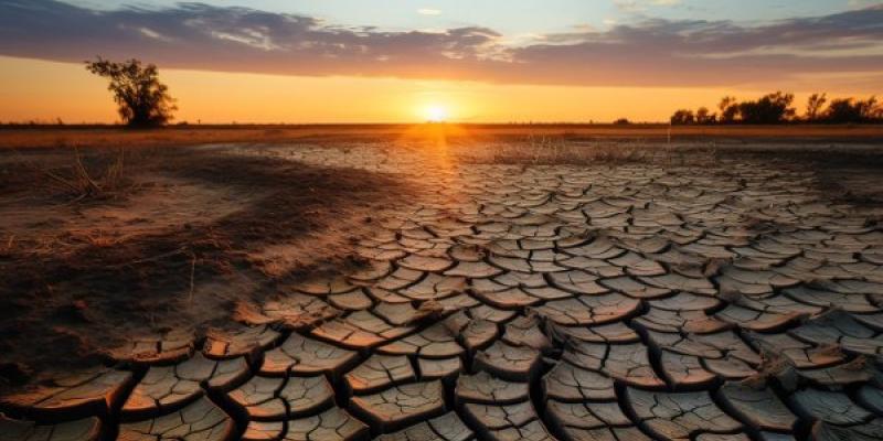 Efectos del cambio climático | Foto de 123RF/machthay para Servimedia Efectos del cambio climático | Foto de 123RF/machthay
