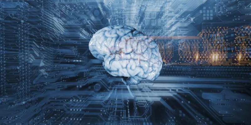 Xataka Imagen del cerebro