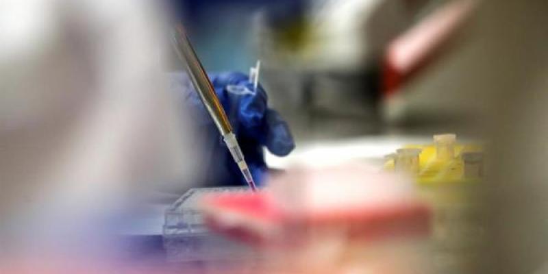 Los laboratorios siguen volcados en la búsqueda de la vacuna contra el coronavirus