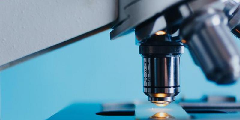 Localidades pequeñas se suman al desarrollo de la ciencia e innovación - Pixabay El impulso a la ciencia e innovación