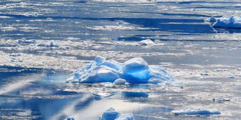 La situación del hielo marino durante el pasado mes de julio