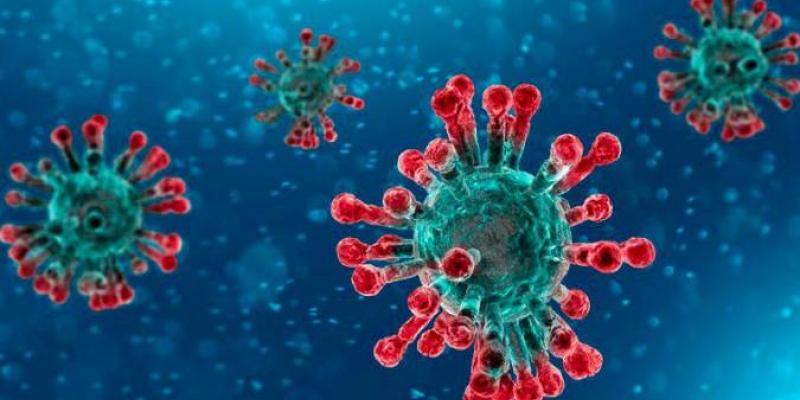 El planeta supera los cinco millones de infectados por coronavirus. El planeta supera los cinco millones de contagiados por Covid-19.